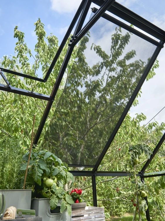 Royal Well Rolscherm 67,5 x 200 cm - Afbeelding 8